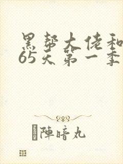 黑帮大佬和我365天第一季封面