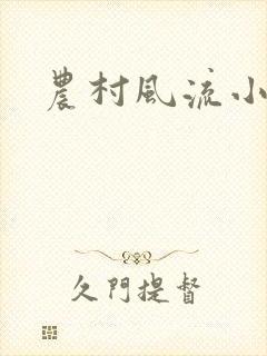 农村风流小说封面