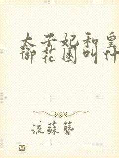 太子妃和皇帝在御花园叫什么小说封面