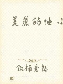 美丽的他 小说封面