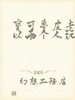 宝可梦皮卡丘可以两个人玩吗封面