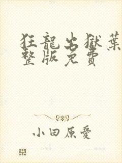 狂龙出狱叶风完整版免费