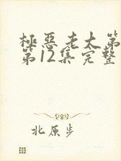 极恶老大第2季第12集完整版