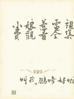 小娘惹电视剧免费观看全集