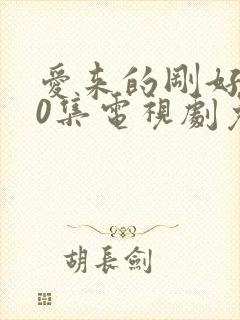 爱来的刚好第60集电视剧免费观看