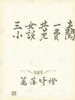 三女共一夫宏伟小说免费阅读全文最封面