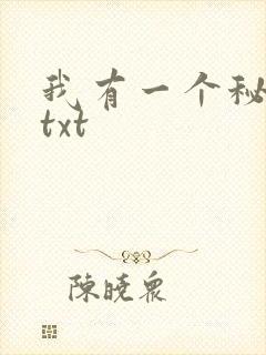 我有一个秘密 txt