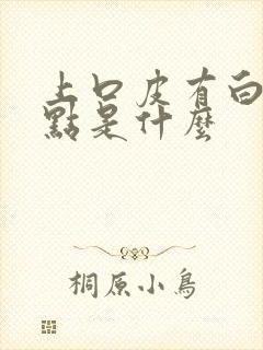 上口皮有白色点点是什么