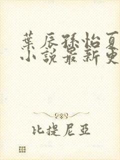 叶辰孙怡夏若雪小说最新更新