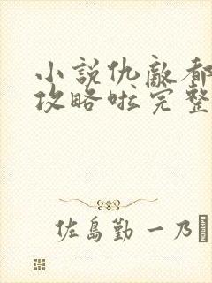 小说仇敌都被我攻略啦完整版未删减小说