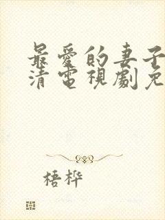 最爱的妻子的高清电视剧免费观看