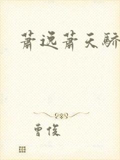 萧逸萧天骄小说封面