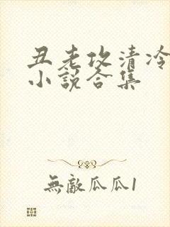 丑老攻清冷美人小说合集封面