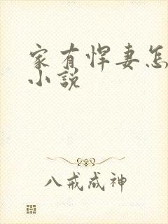家有悍妻怎么破小说封面