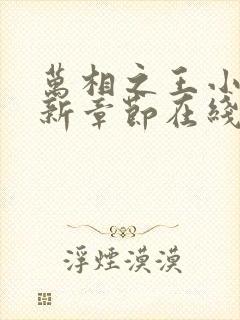 万相之王小说最新章节在线