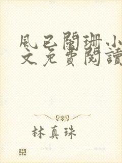 风已阑珊小说全文免费阅读最新章节封面