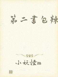 第二书包辣文