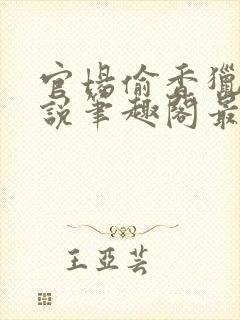 官场偷香猎艳小说笔趣阁最新章节列表