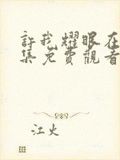 许我耀眼在线全集免费观看电视剧封面