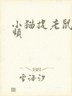 小猫捉老鼠的视频