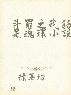 斗罗之我的武魂是魂环小说