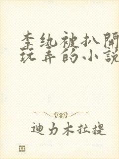 李纨被扒开双腿玩弄的小说封面