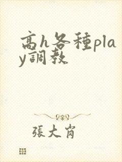 高h各种play调教