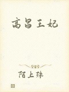 高昌王妃封面