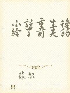 小说重生后我嫁给了前夫的死对头