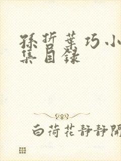 孙哲叶巧小说全集目录