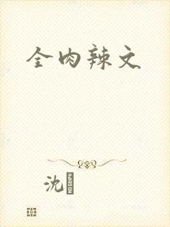 全肉辣文