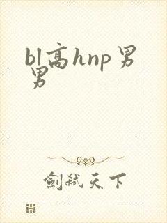 bl高hnp男男