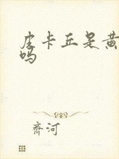 皮卡丘是黄色的吗