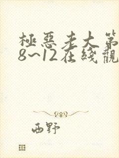 极恶老大第二季8~12在线观看封面