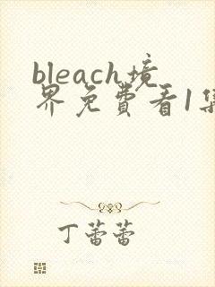 bleach境界免费看1集至115集