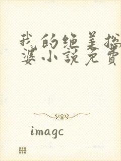 我的绝美总裁老婆小说免费阅读全文