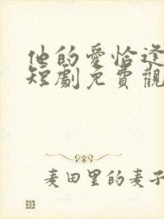 他的爱恰逢其时短剧免费观看全集完整版