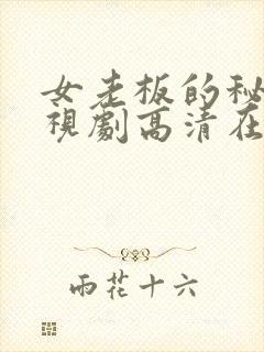 女老板的秘密电视剧高清在线播放