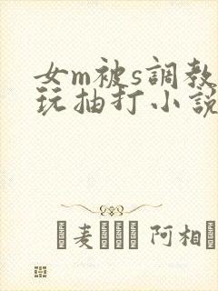 女m被s调教虐玩抽打小说封面