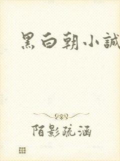 黑白朝小诚