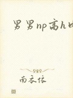 男男np高h肉