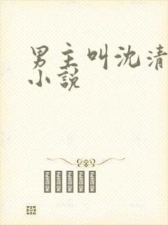 男主叫沈清辞的小说