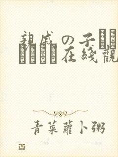 亲戚の子とお泊まりだけ在线观看