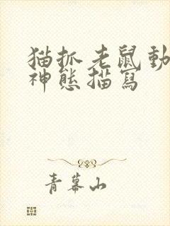 猫抓老鼠动作及神态描写