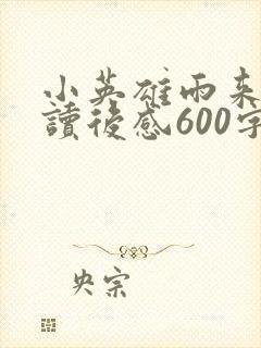 小英雄雨来优秀读后感600字封面