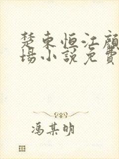 楚东恒江颜的官场小说免费阅读