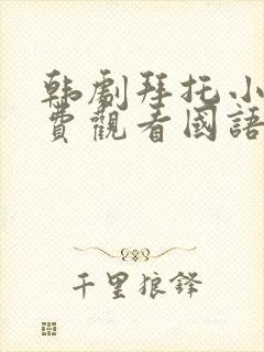 韩剧拜托小姐免费观看国语版全集