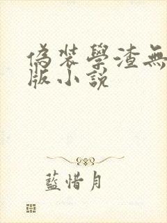 伪装学渣无删减版小说