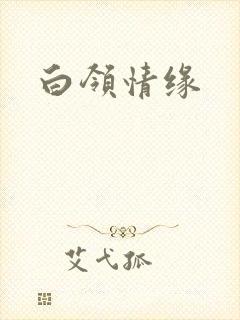 白领情缘