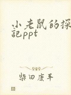小老鼠的探险日记ppt